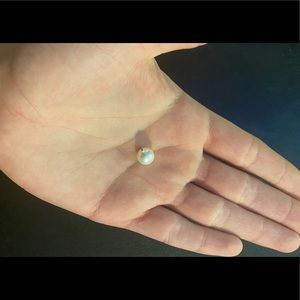 🤍🌊AUTHENTIC UNMODIFIED INTACT AKOYA PEARL🌊🤍